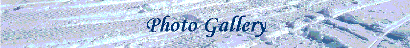 Photo Gallery